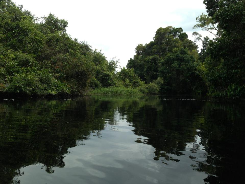BERBAK NATIONAL PARK